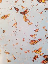 Mariposas Monarca Edo Mexico Y Michoacan Aesthetic Wallpapers Aesthetic Iphone Wallpaper Orange Aesthetic