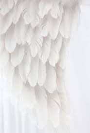Black And White Angel Wings Aesthetic Pin By Angie On Old Boards White Wings White Aesthetic Wings