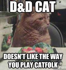 D D Cat Cats D D Dungeons And Dragons