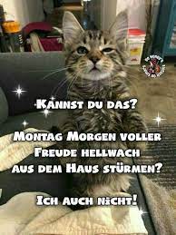 pin von mel mel auf guten morgen spruche morgen spruche guten morgen spruch spruche
