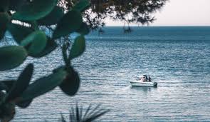 We did not find results for: Boating License Faqs Overton S