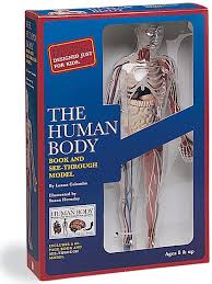 Buy the selected items together. The Human Body Book And See Through Model Price 5 99 The Body Book Human Human Body