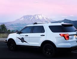 Image result for Yellow 1980 Queensland State Emergency