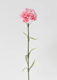 Maybe you would like to learn more about one of these? Pink Carnation Stem Shop Artificial Flowers At Afloral Com