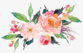 Vintage Watercolor Pink Flower Elegant Watercolor Clipart Flower Clipart Watercolor Png Transparent Clipart Image And Psd File For Free Download Desenhos De Flores Flores Pintadas Aquarela Floral