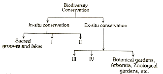 the following is a incomplete flow chart depicting in situ