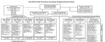 scholars academy organizational chart of discipline based