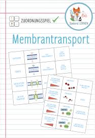 Membrantransport Zuordnungsaktivitat Unterrichtsmaterial Im Fach Biologie In 2020 Lernen Biologie Unterrichtsmaterial