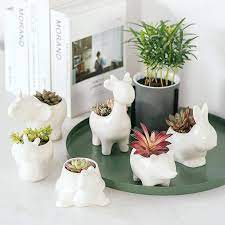 We did not find results for: European Handmade Crafts Animal Shaped Planter Pot Small Ceramic Flower Pot Succulent Pot Ceramic Home And Garden Decoration Flower Pots Planters Aliexpress