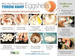 Check spelling or type a new query. Here S Why You Should Not Throw Away Eggshells Top 10 Home Remedies