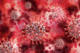 La variante lambda, identificada por primera vez en perú en agosto de 2020, ya ha sido considerada de interés por la organización mundial de la salud. Lambda Variante Do Coronavirus Descoberta No Peru Ja Se Espalha Por 27 Paises Mundo Valor Economico