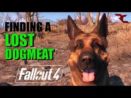 Codsworth Vs Dogmeat (Fallout 4) - Drawception