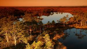 Wir bereisen lettland seit vielen jahren und haben ihnen hier unsere top 10 zusammengestellt. Baltikum Reisen Charmante Kustenstadte Weite Walder A E Erlebnisreisen