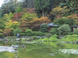 Before long my japanese maple was growing like crazy and. Gardeners Talk Autumn Colors And Japanese Maples Seattle Japanese Garden