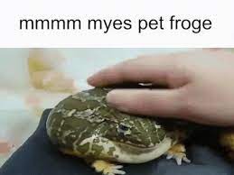 Make a sad character happy with this petpet/pet the x meme template. Mmmm Myes Pet Froge Know Your Meme