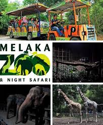 Bermandi hujan ketika berada di zoo melaka. 12 Tempat Menarik Di Melaka Waktu Malam Murah Utk Kanak Kanak