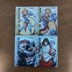 クイーンズブレイド 流浪の戦士