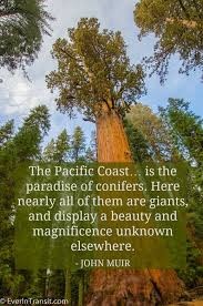 The Poetry Of John Muir Quotes On Nature Conservation Travel Ever In Transit John Muir Quotes Nature John Muir Quotes John Muir