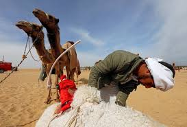 See more of camelcamelcamel.com on facebook. Child Camel Jockeys Being Replaced By Robots
