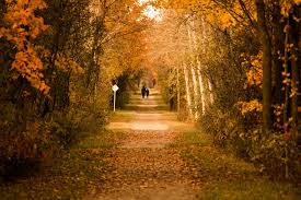 Les avis de décès du réseau France Obsèques