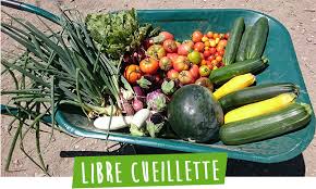 Vente Directe A La Ferme 33 Domaine D Ecoline
