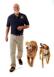 In as little as 2 weeks, your dog can be the perfect dog! Top 10 America S Best Dog Trainers Of 2019