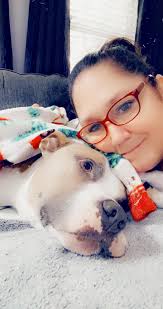 Dear SSC friends, our sweet Rainy had crossed the rainbow bridge  peacefully. Mummy and Daddy knows that you are in goods hands now in  heaven. We know that you have been a