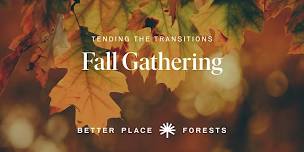 Litchfield Hills Memorial Forest | Tending the...
