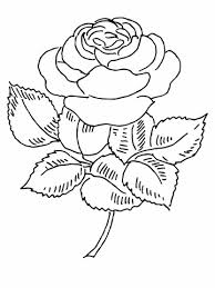 Ausmalbild Blühende Rose Ausmalbilder Kostenlos Zum
