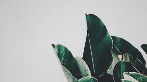 Maybe you would like to learn more about one of these? Macbook Vsco Wallpapers Wallpaper Cave
