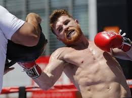 Próxima pelea del 'canelo' álvarez será en japón. Canelo Alvarez Empieza Su Preparacion Para Proxima Pelea Momento Deportivo Rd