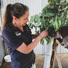 They're responsible for feeding, bathing, and exercising the animals, and they restrain them during examinations and treatment. Veterinary Assistant Job Description
