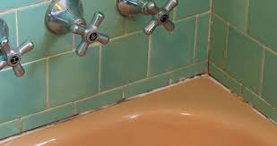 Sadece 1 limon ile doğal fayans ve derz temizliği! Rezzan Panosundaki Pin