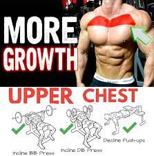 The height of the surface you'll place your feet on will determine the muscles you'll activate. How To Do Proper Upper Chest Tips Guide