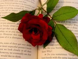 We did not find results for: 40 Best Love Quotes Given To Us From Literature Book Cave