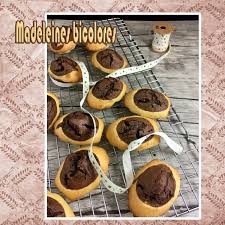 Madeleine Bicolore Les Casseroles De Carole Faire Fondre Du Chocolat Madeleine Chocolat Bain Marie