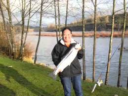 Download Fish On Song Youtube
