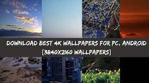 It can't be just one sentence. Download Best 4k Wallpapers For Pc Android 3840x2160 Wallpapers