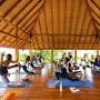 Sukha Yoga Retreats from bodhitreeyogaresort.com