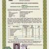 Jika ada kesalahan mohon dikoreksi untuk segera di revisi. 1