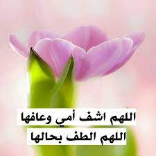 pin on كلمات ومعلومة