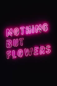 Maybe you would like to learn more about one of these? Nothing Flowers Glowing Neon Quote Light Pink Ldf Piqsels
