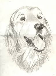Some of the worksheets displayed are old yeller, old yeller coloring by fred gipson, lesson vocabulary 7 in context, grade 6 math tx fundamentals of geometry and algebra, english a, international jubilee private school ijps american system, sixth grade reading street unit. We Ve All Heard The Canard That Dogs Mouths Are Cleaner Than Humans They Re Not But In Reality Dogs Can Carry Pathogens Dog Sketch Scary Dogs Dog Breeds