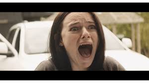 New Fears Eve, a brand-new horror comedy from Blood Moon Pictures Indiegogo  Ends this Friday