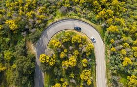 Image result for Mimosa 1989 Tracer