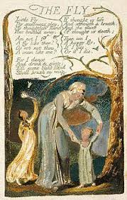 Biography, poems and picture william blake. The Fly By William Blake Famous Poems Famous Poets All Poetry