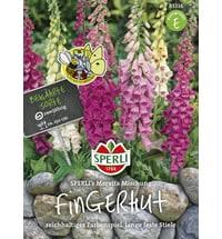 Specializing in experiential marketing and live event design. Sperli Fingerhut Mervita Mischung 1 Packung Bloomling Osterreich