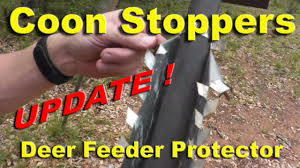 Mothballs got the raccoon family out of my attic. Coon Stoppers Deer Feeder Deturrent Update Youtube