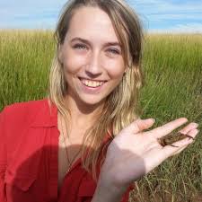 Searching for Swallows and Swifts