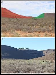 Image result for Plinthus karooicus